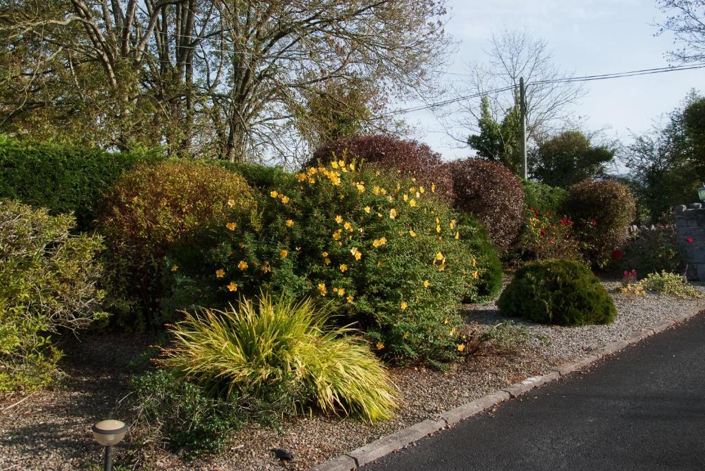 Innisfree B&B Bunratty Exterior photo