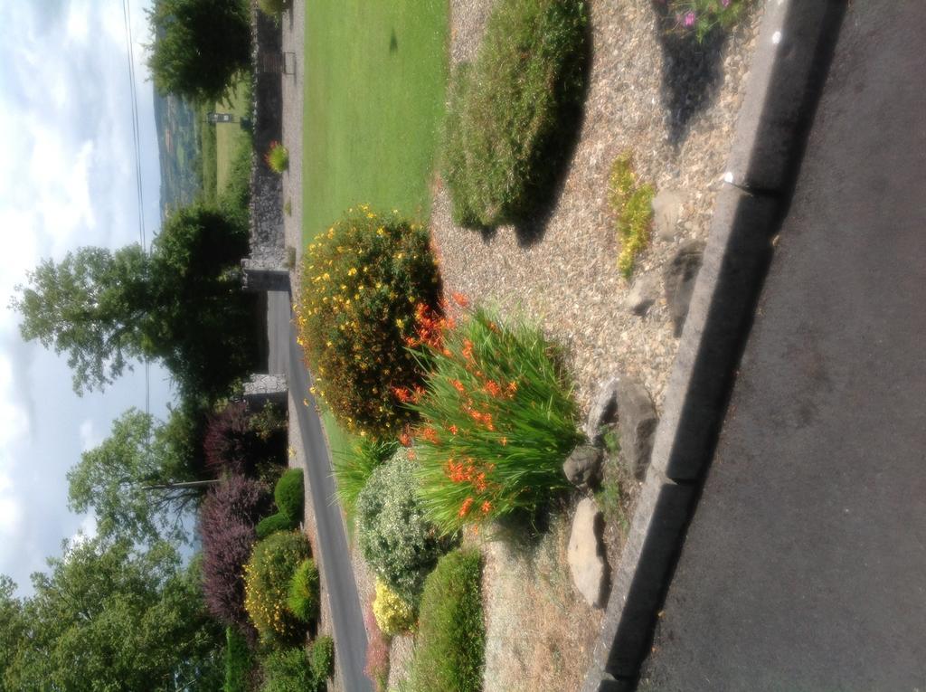Innisfree B&B Bunratty Exterior photo