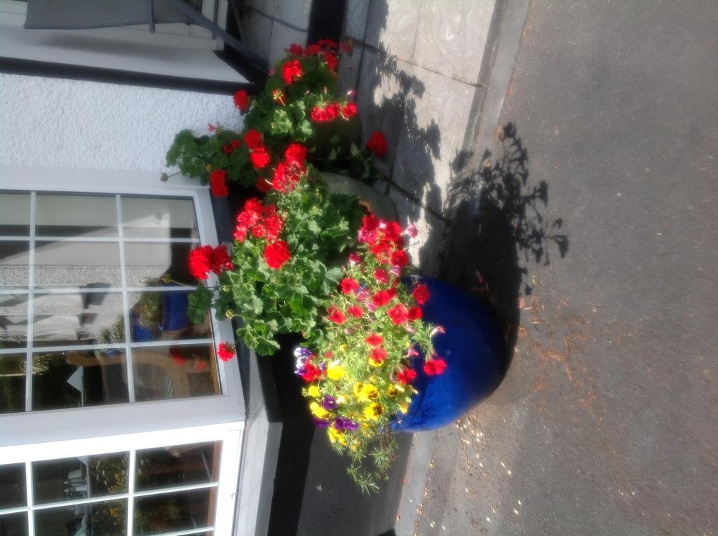 Innisfree B&B Bunratty Exterior photo